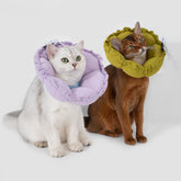 Two cats wearing soft flower pet cone collars—one purple, one yellow—gentle recovery collars with ruffled edges