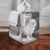 Portable pet carrier backpack with spacious interior, breathable mesh, and double-sided cushion for cats/dogs.