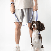 Lightweight aluminum alloy collar and leash set for dogs, featuring quick-release buckles and high-strength nylon