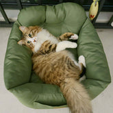 Thickened full surround pet car seat with plush cushion, shown here with a cat lounging comfortably in green.