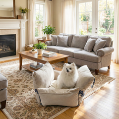 Dog sitting on a pet bed in a cozy living room with a sectional sofa, coffee table, and fireplace.