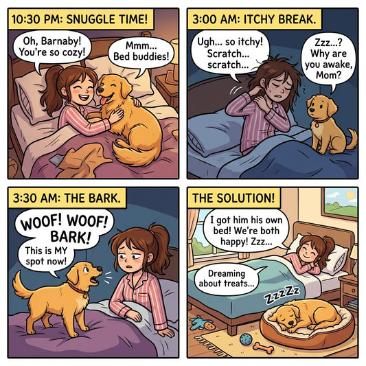 Should Your Dog Sleep in Your Bed? A Vet's Honest Advice for a Healthier Home