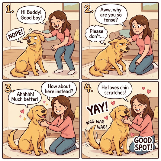 Unlocking Your Dog's Tail Talk: 9 Secrets to Understanding Their Wags and More