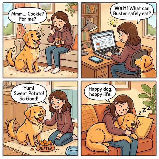 7 Delicious Dog Foods Your Pet Will Love (and You Haven't Tried!)