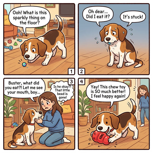 My Dog Swallowed a Foreign Object! What Should I Do?