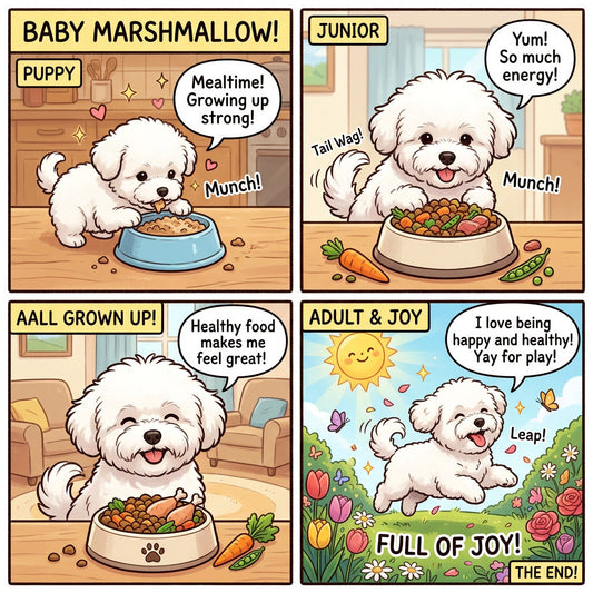 Choosing the Best Bichon Frise Dog Food: A Complete Guide
