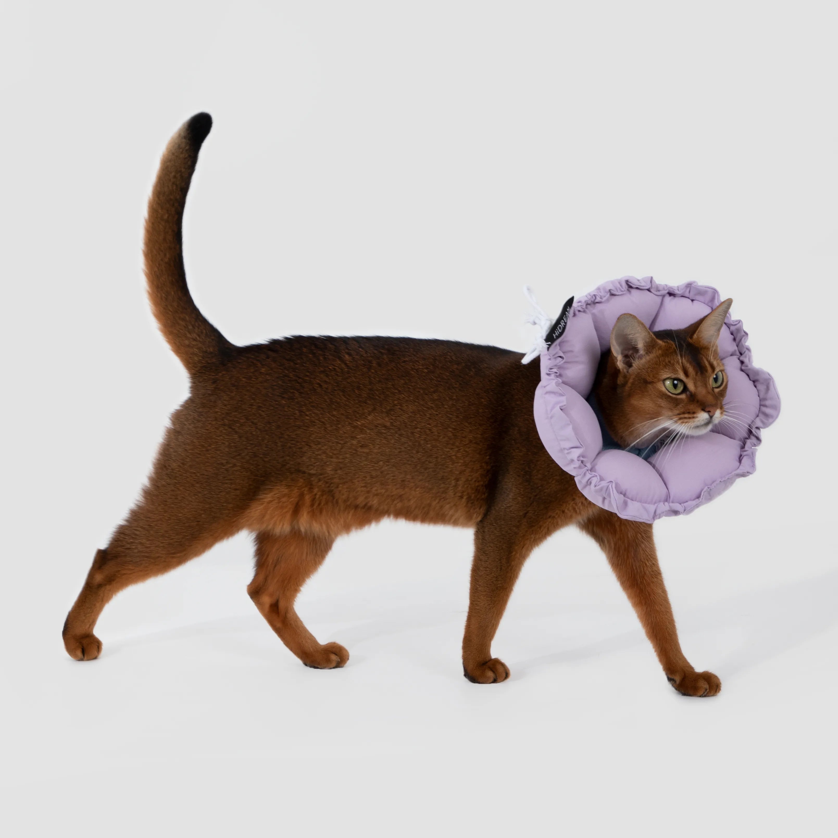 Soft Flower Pet Cone Collar
