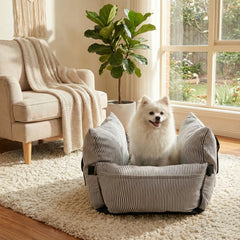 White dog sitting in a striped pet bed in a cozy living room.