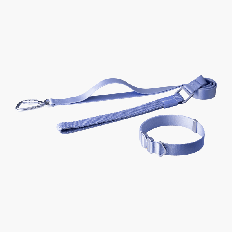 Collar & Leash Lightweight Alloy Set