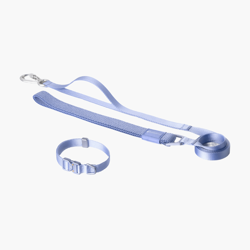 Collar & Leash Lightweight Alloy Set