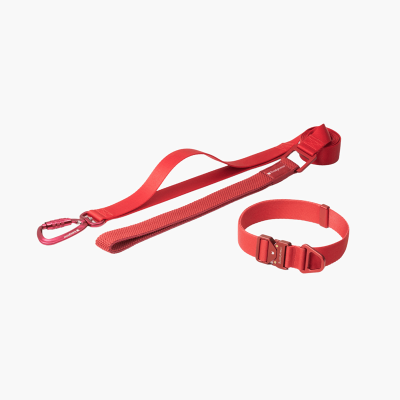 Collar & Leash Lightweight Alloy Set