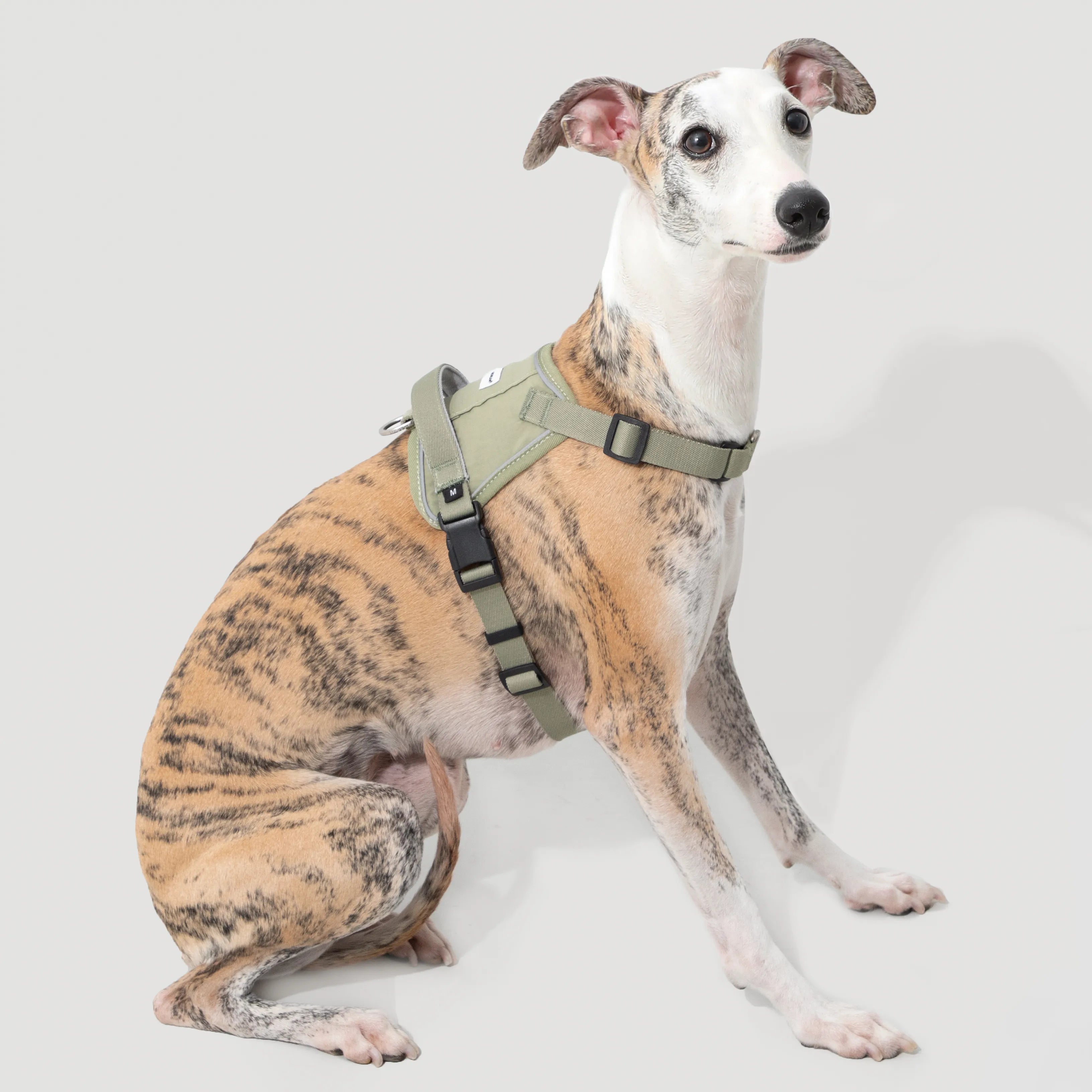No-Pull Dog Harness & Shock-Absorbing Leash Set, gallery 8