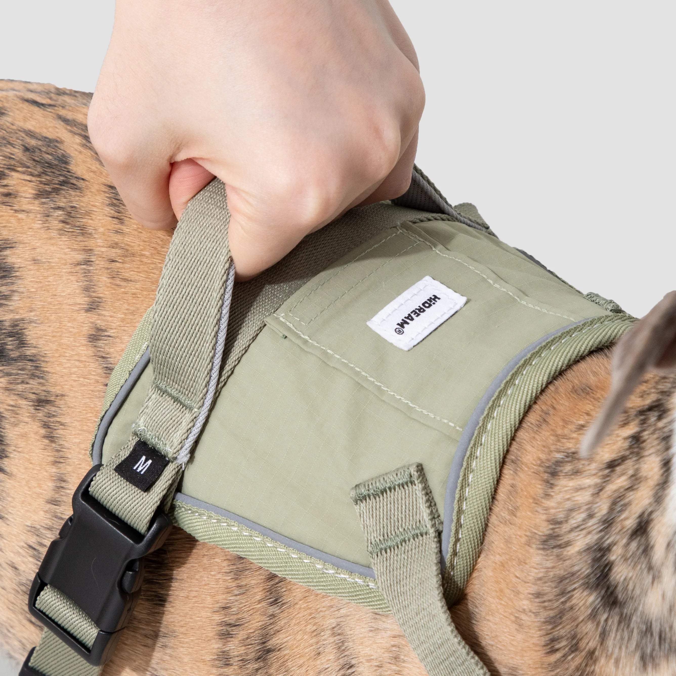 No-Pull Dog Harness & Shock-Absorbing Leash Set, gallery 9