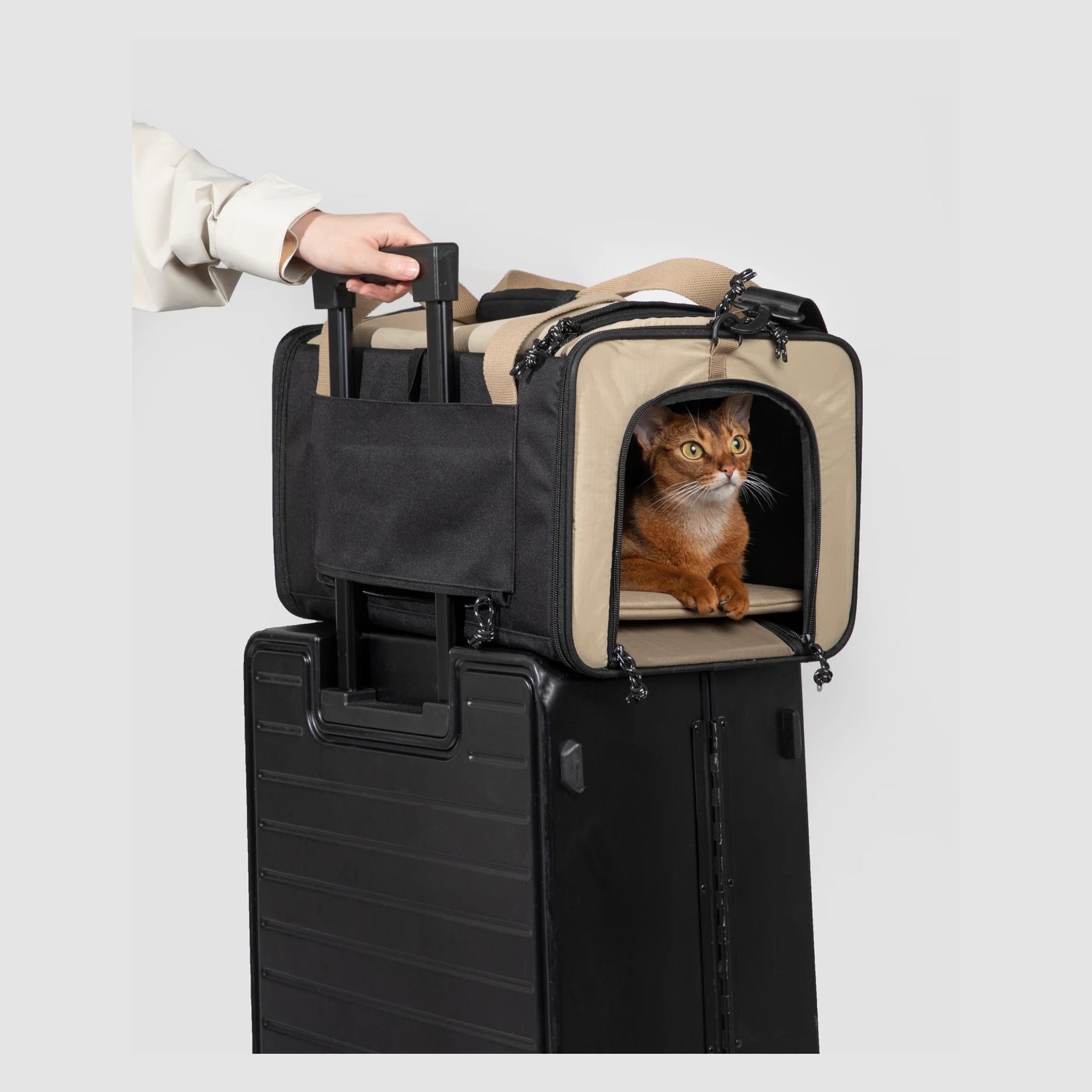 The rear sleeve of the pet tote fitted over an upright suitcase handle.