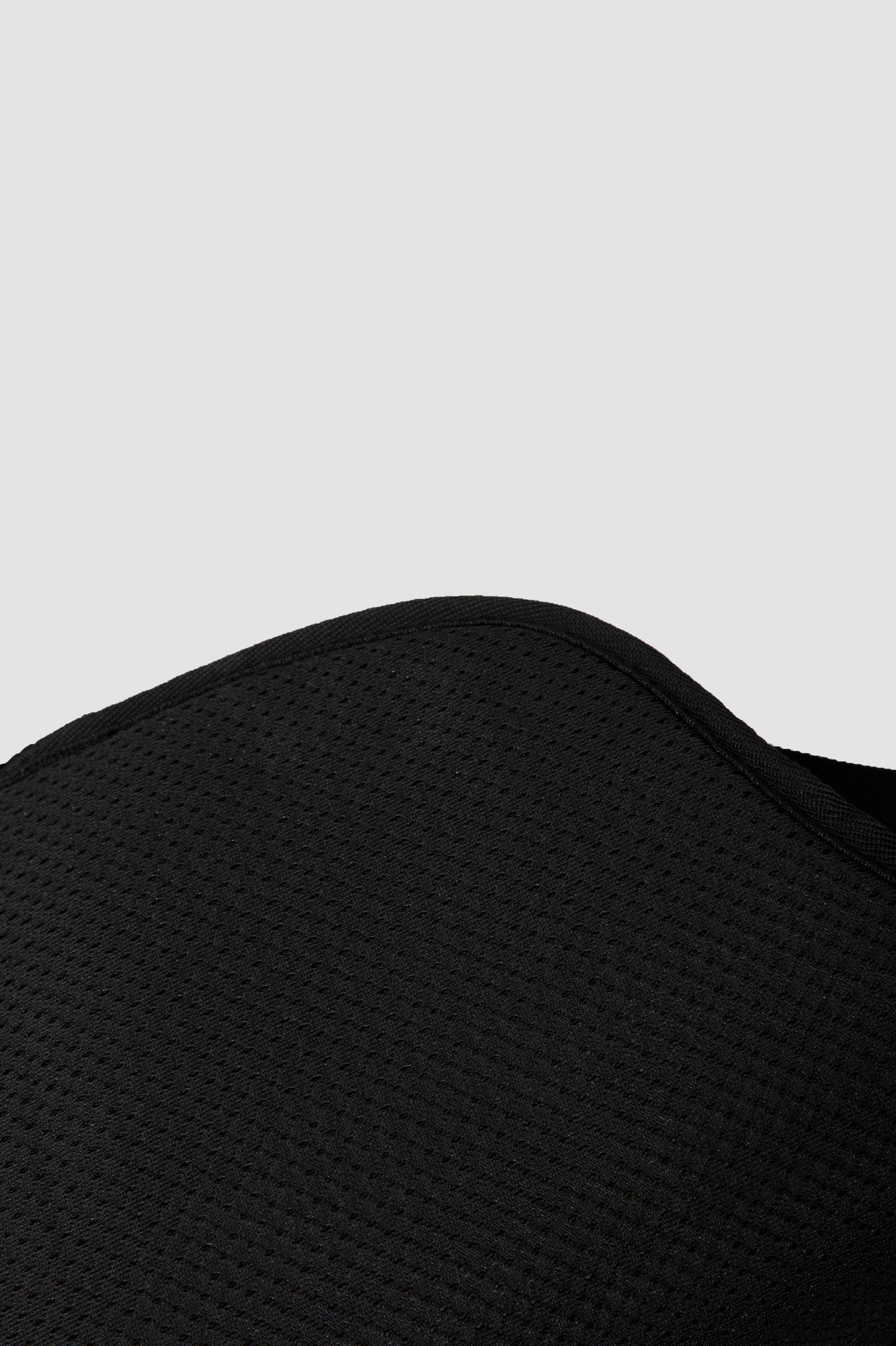 Close-up of the black padded mesh lining inside the dog carrier.