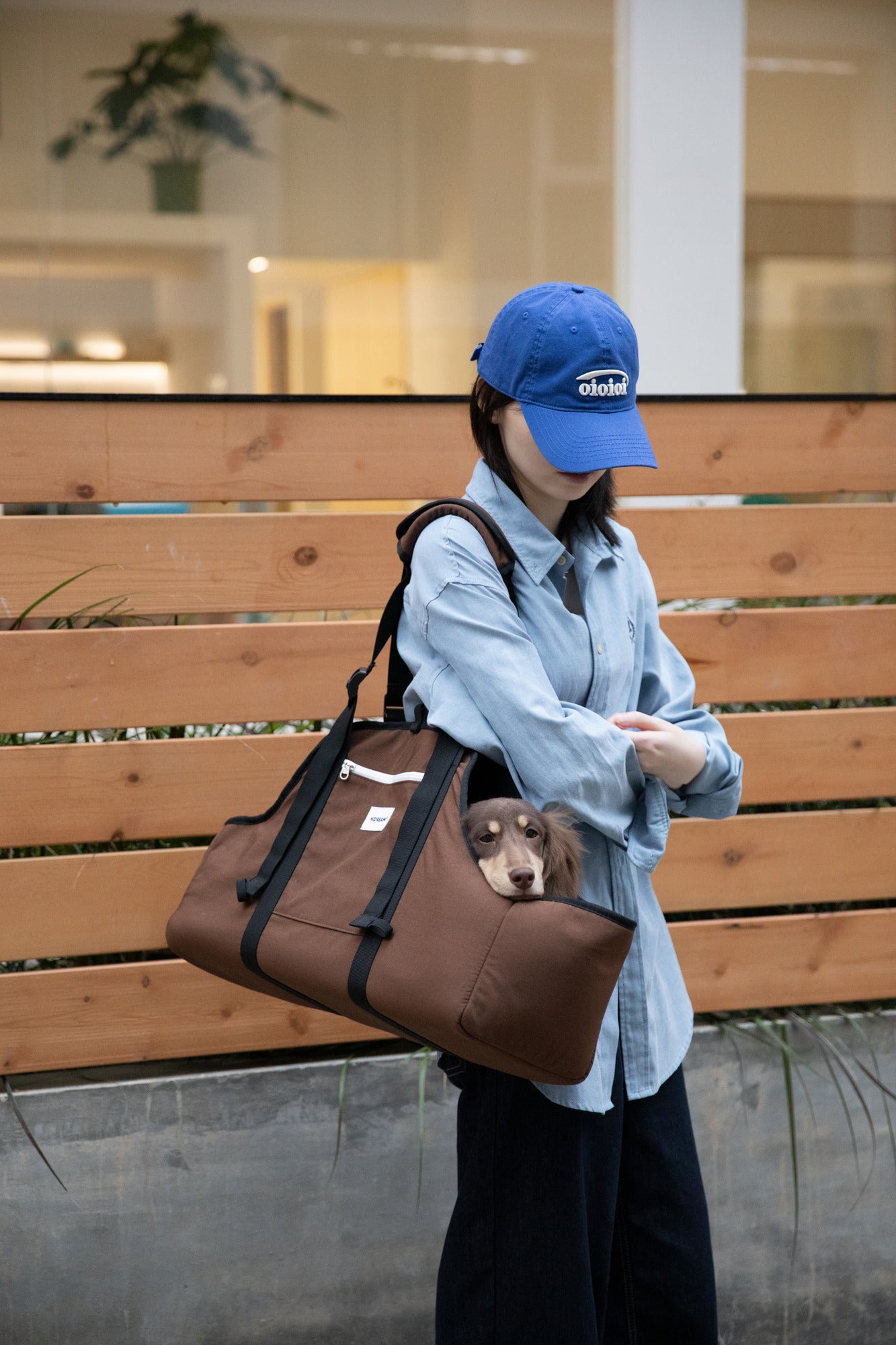 Brown Baguette carrier worn over the shoulder outdoors with a dachshund inside.