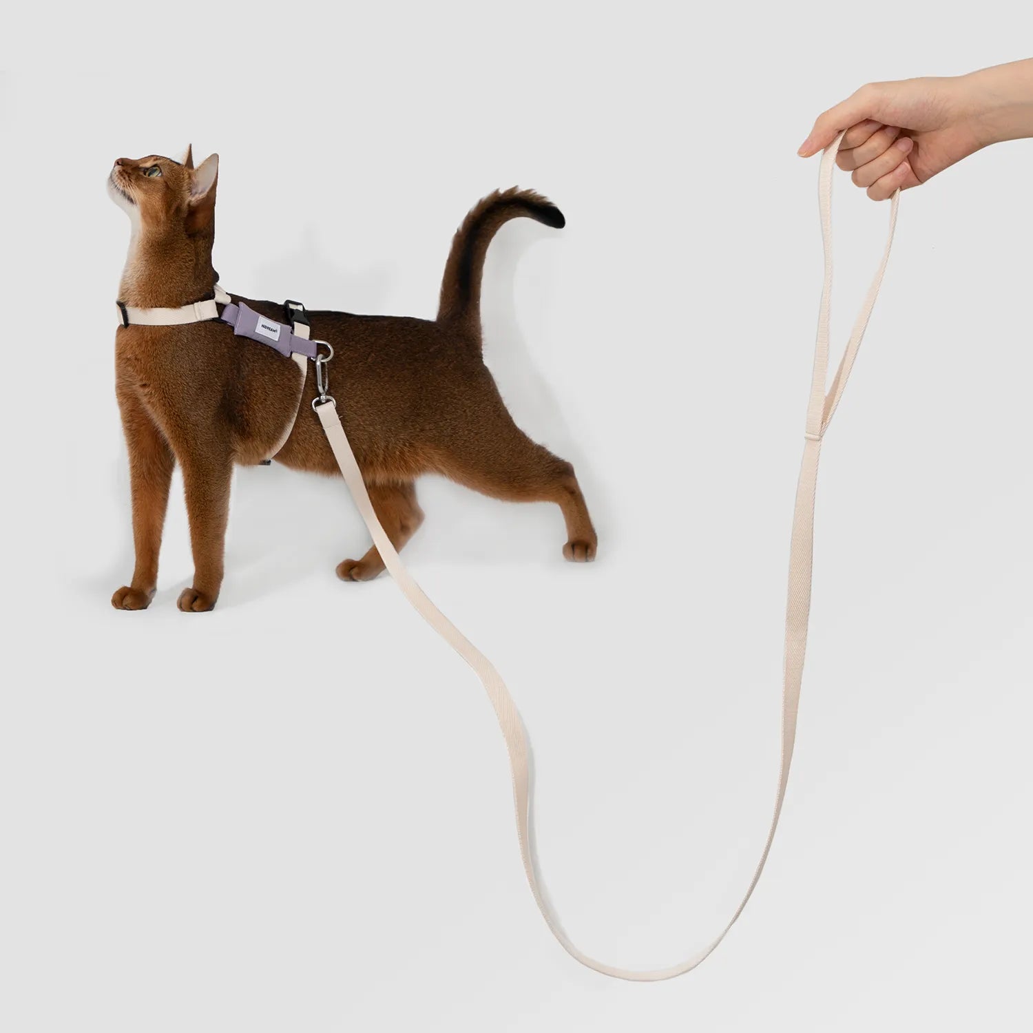 H-Style Cat Harness & Leash Set, gallery 3