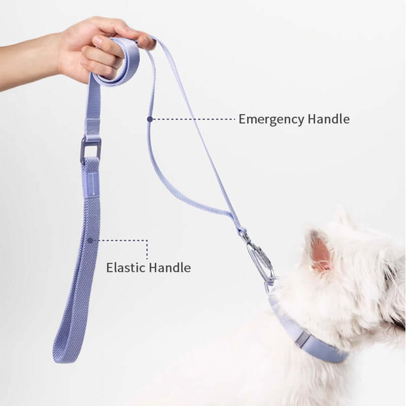 Collar & Leash Lightweight Alloy Set