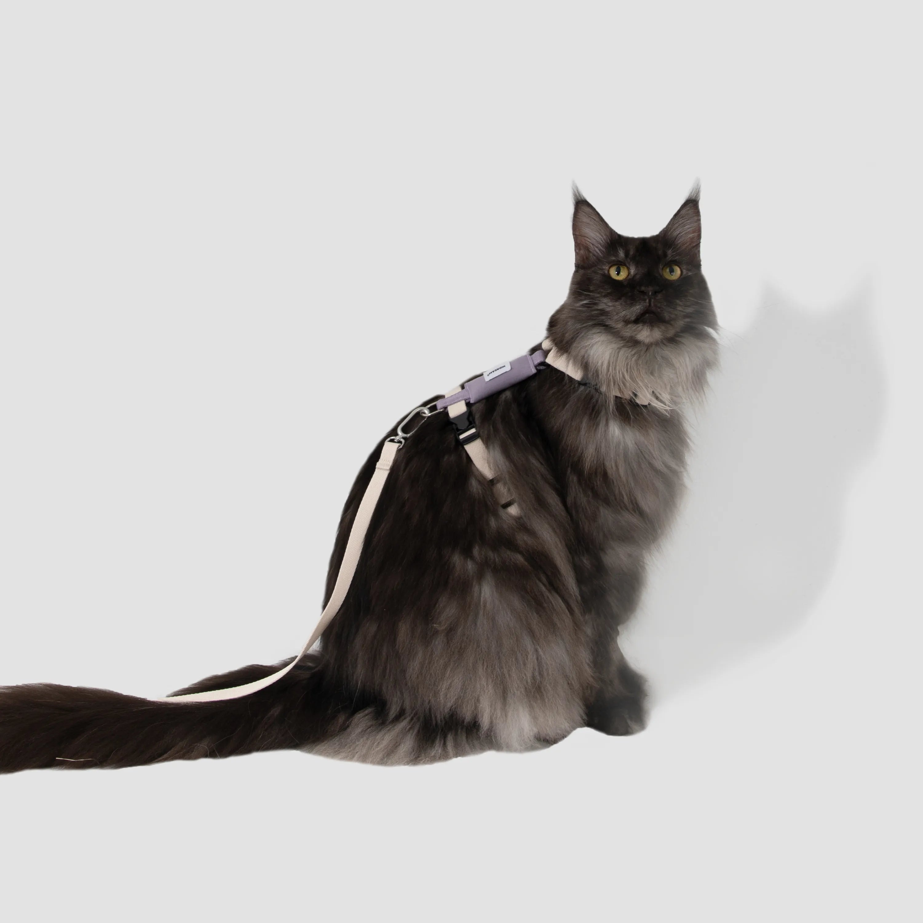 H-Style Cat Harness & Leash Set, gallery 2