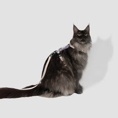 H-Style Cat Harness & Leash Set, gallery 2